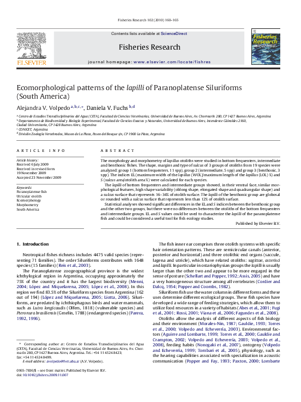 (PDF) Ecomorphological patterns of the lapilli of Paranoplatense ...