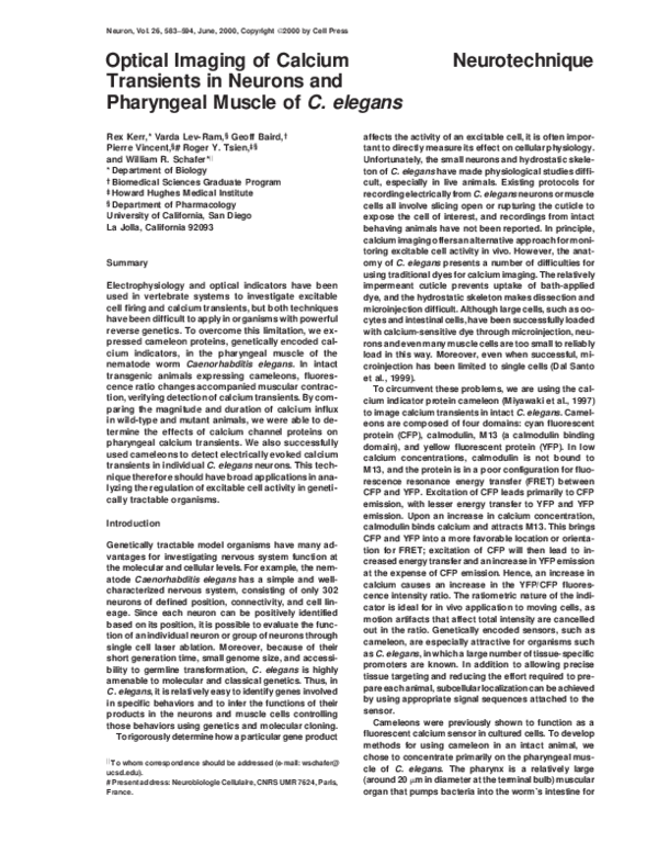 (PDF) Optical Imaging of Calcium Neurotechnique Transients in Neurons ...