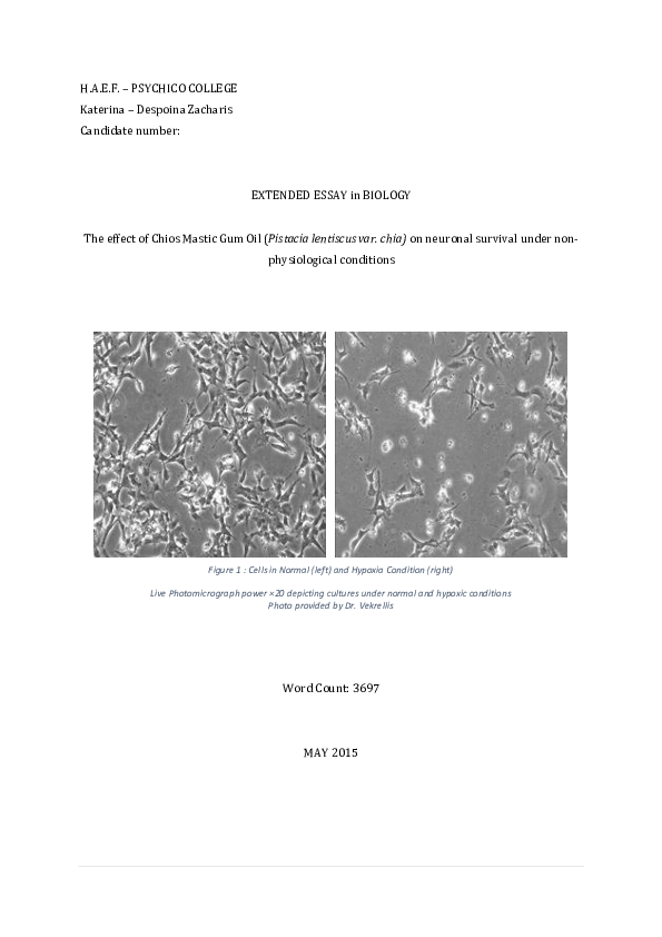 Design of pistacia lentiscus mastic gum biology essay 08 image