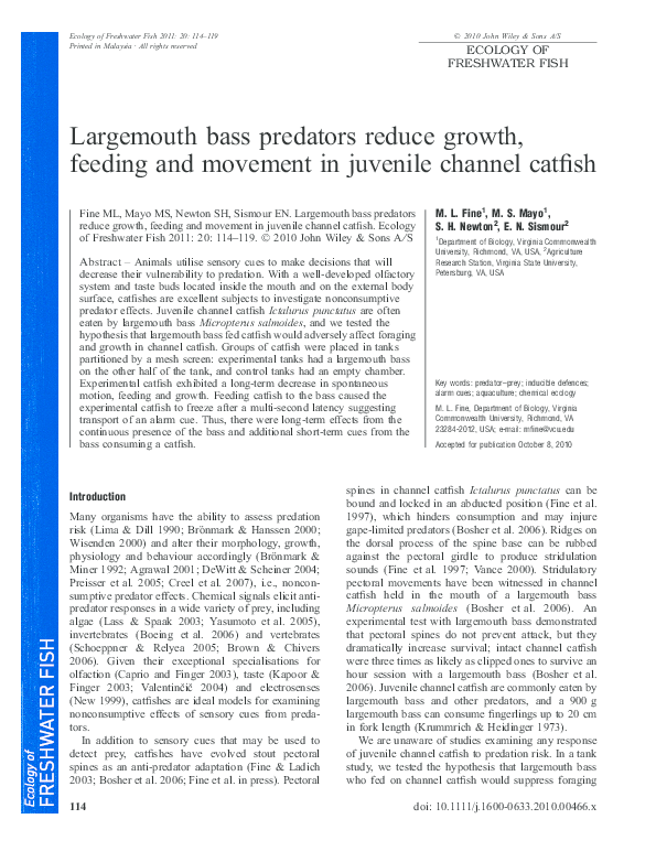 (PDF) Largemouth bass predators reduce growth, feeding and movement in ...