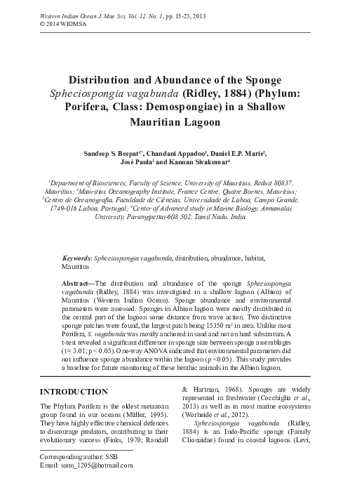 Syconoid sponge labeled image