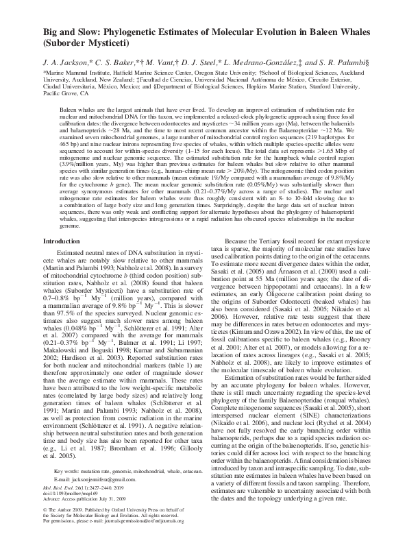 (PDF) Big and slow: Phylogenetic estimates of molecular evolution in ...