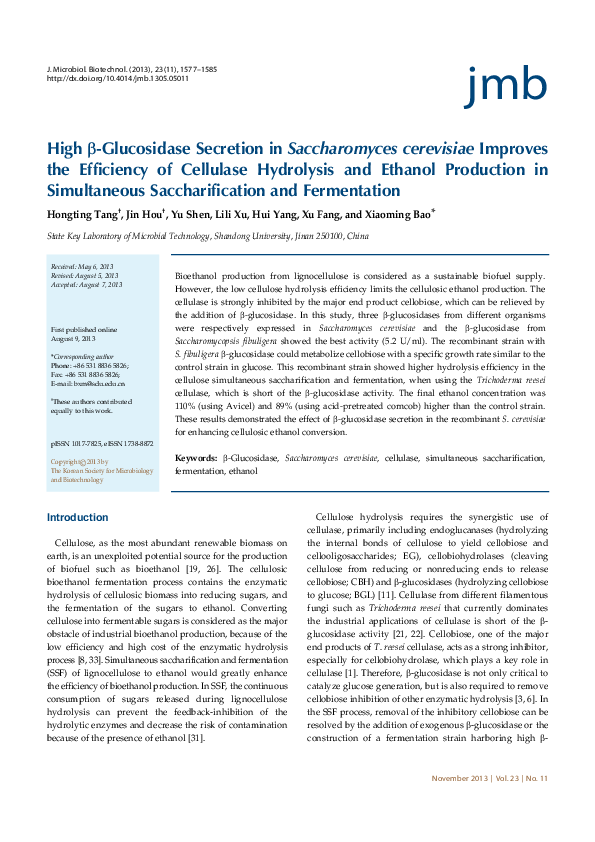 What is saccharomyces cerevisiae used for image