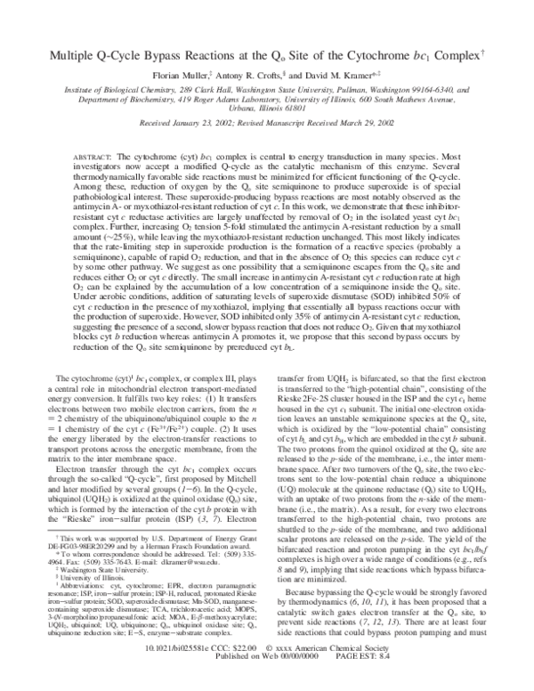 Antony crofts essay 05 picture