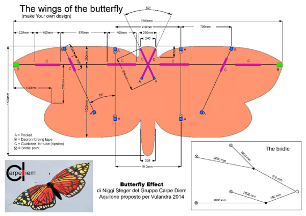 (PDF) Butterfly Effect