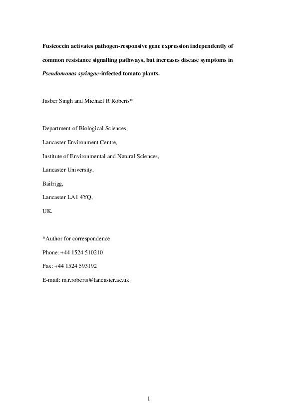 Line on tomato image