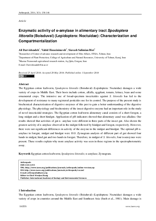 Digestive system essay pdf image