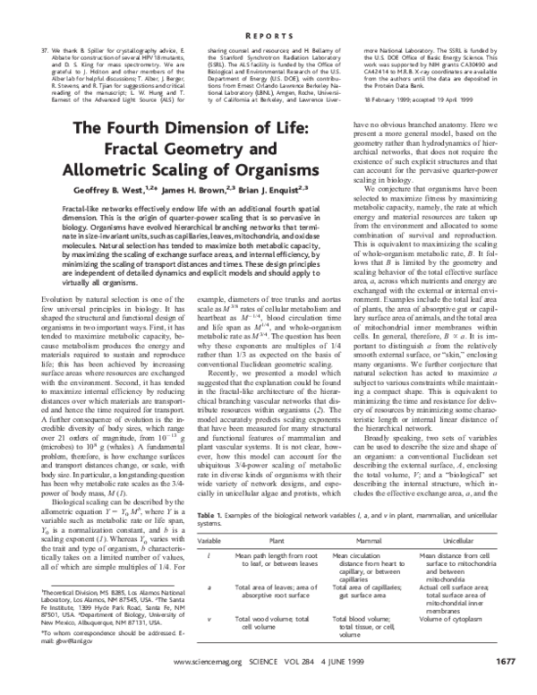 (PDF) The Fourth Dimension of Life Fractal Geometry and Allometric