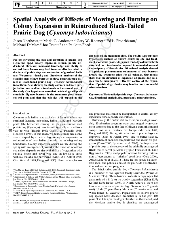 Cynomys prairie dogs image