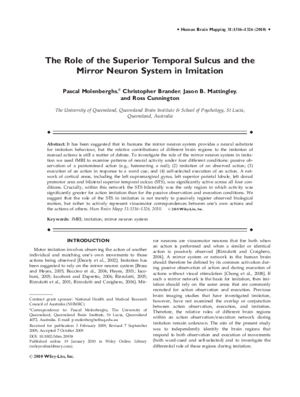 (PDF) The role of the superior temporal sulcus and the mirror neuron ...