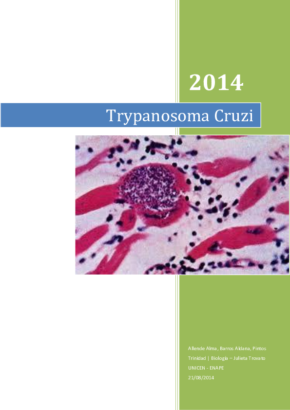 trypanosoma cruzi ubicacion trypanosoma cruzi ubicacion