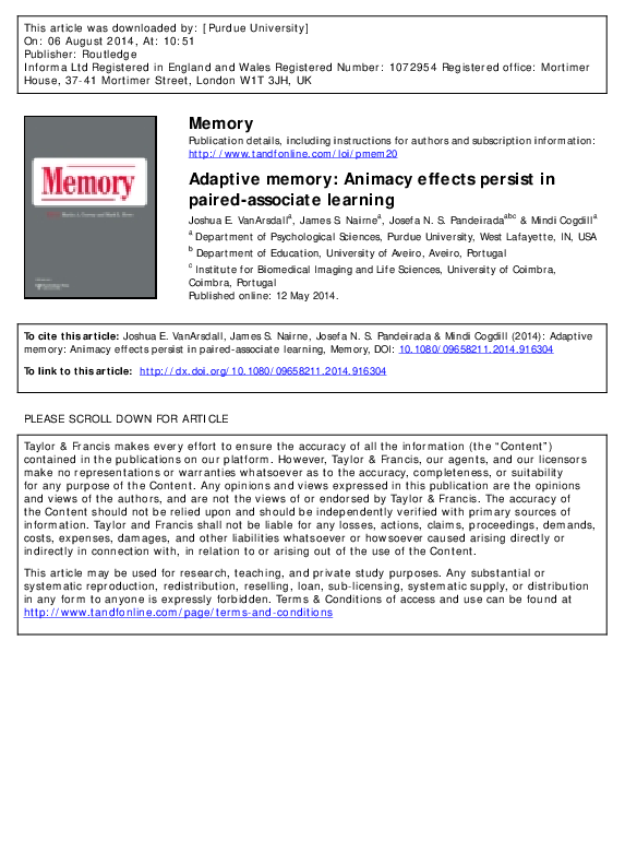 Adaptive memory definition picture