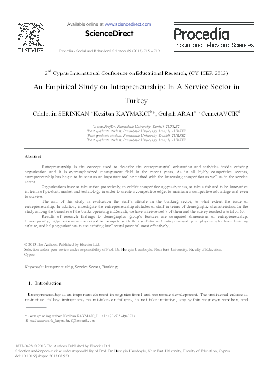 Entrepreneurial spirit image