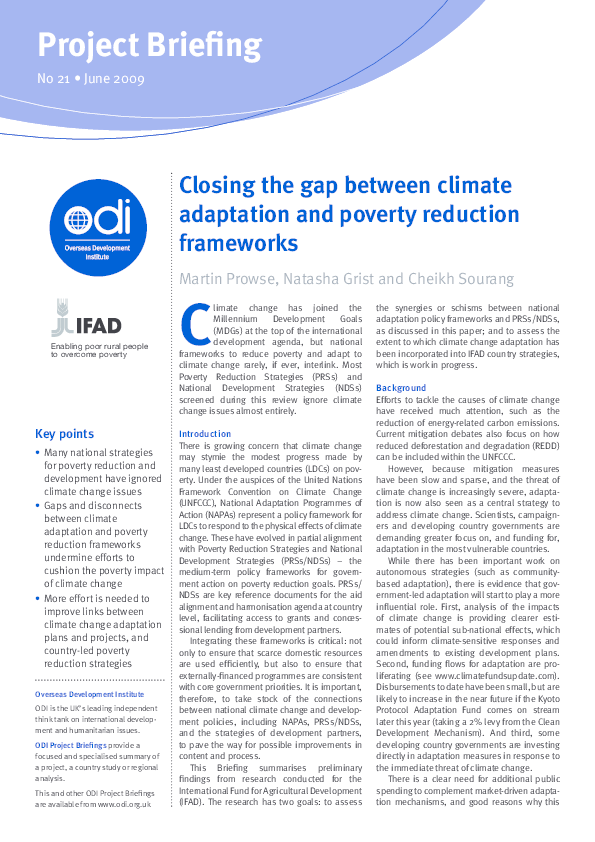 (PDF) Project Briefing