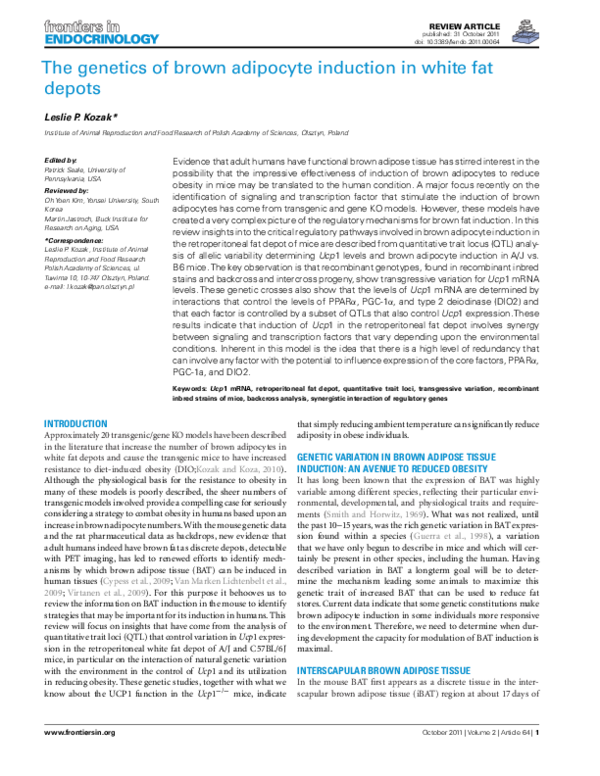 (PDF) The genetics of brown adipocyte induction in white fat depots