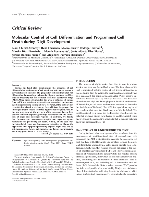 (PDF) Molecular Control of Cell Differentiation and Programmed Cell ...