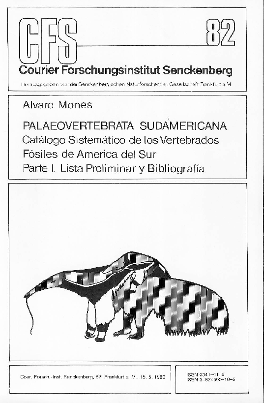 Sudamericana essay 08 picture