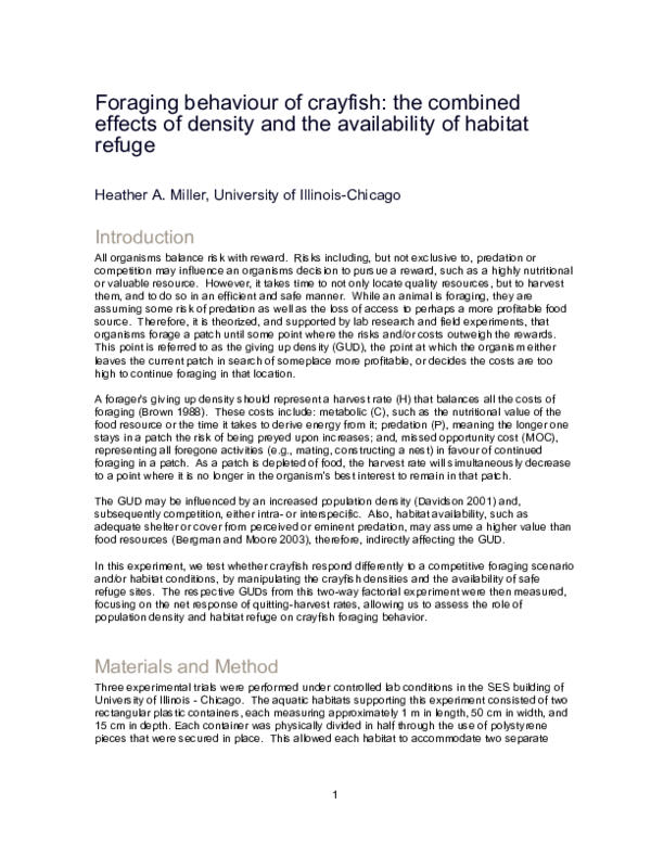 Foraging behaviour in fishes image