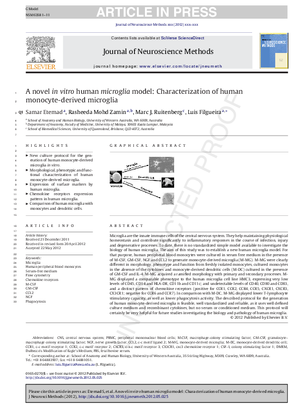 (PDF) A novel in vitro human microglia model
