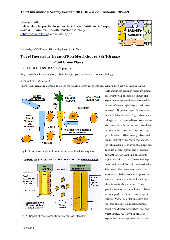 (PDF) The Impact of Root Morphology Affecting the Salt Tolerance of ...