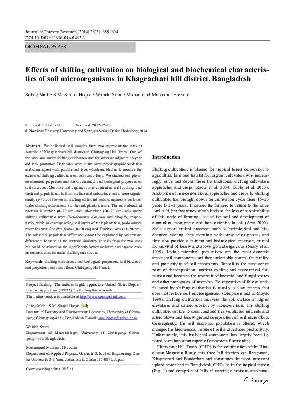 Luxor population 2020 picture