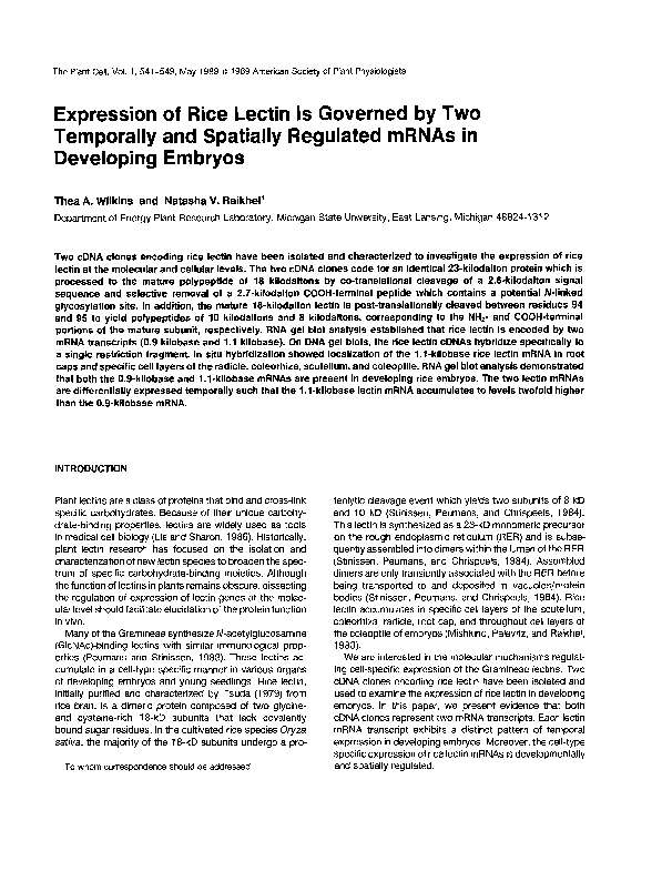 (PDF) Expression of Rice Lectin Is Governed by Two Temporally and