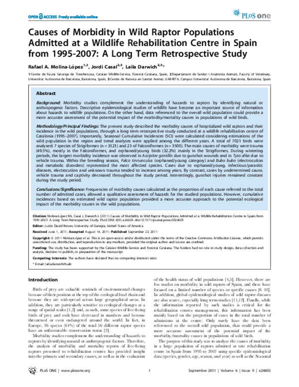 (PDF) Causes of Morbidity in Wild Raptor Populations Admitted at a ...