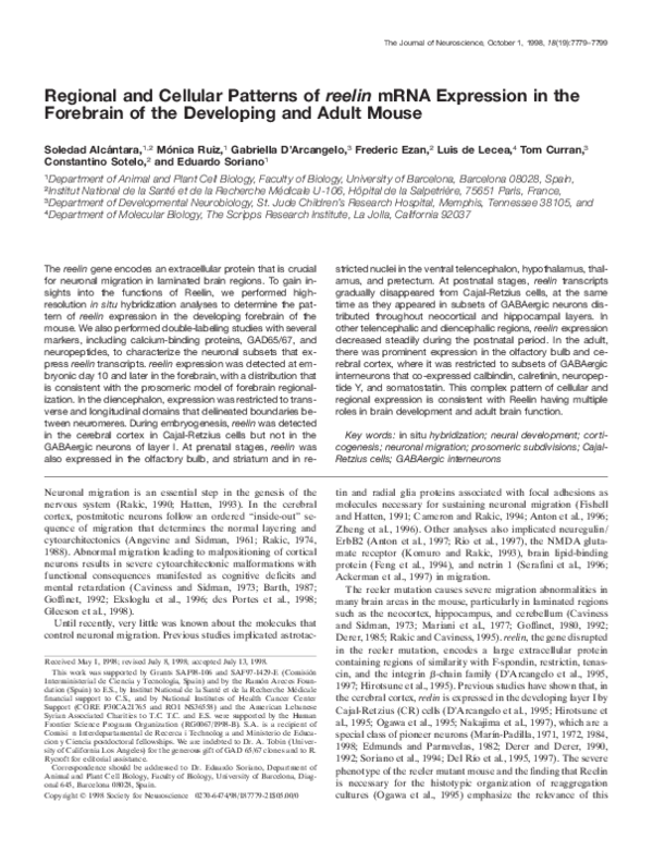 (PDF) Regional and Cellular Patterns of reelin mRNA Expression in the ...