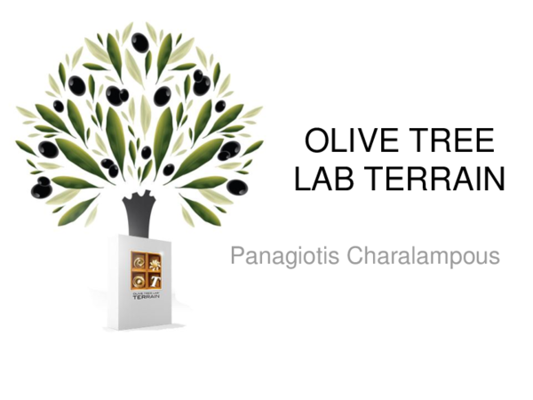 (PPT) Olive Tree Lab Terrain - An Overview