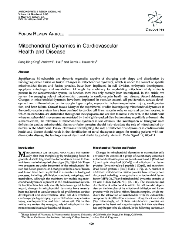 (PDF) Mitochondrial dynamics in cardiovascular health and disease