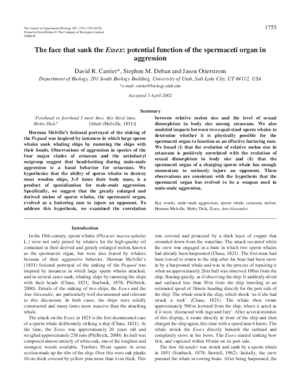 (PDF) The face that sank the Essex potential function of the