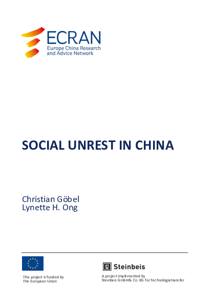 Social unrest essay 06 picture