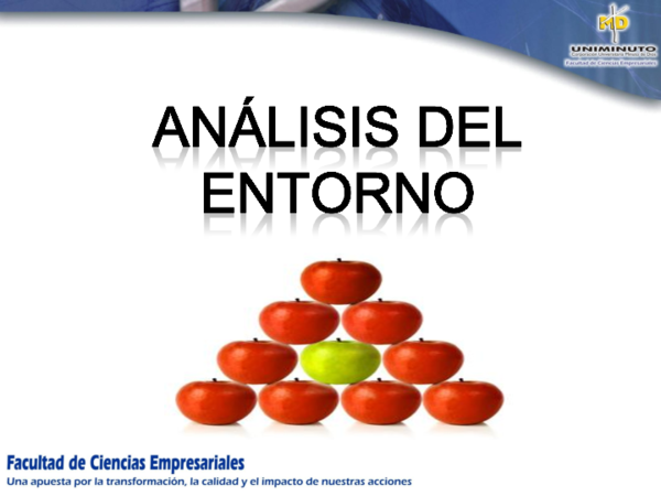PPT) Analisis del entorno | Miguel Caro CastaÃ±eda - Academia.edu