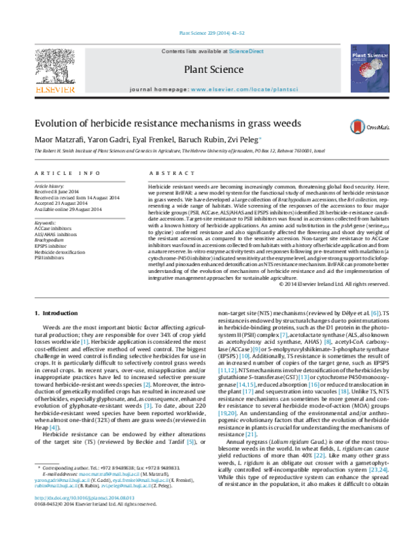 Herbicide-resistant crops definition picture