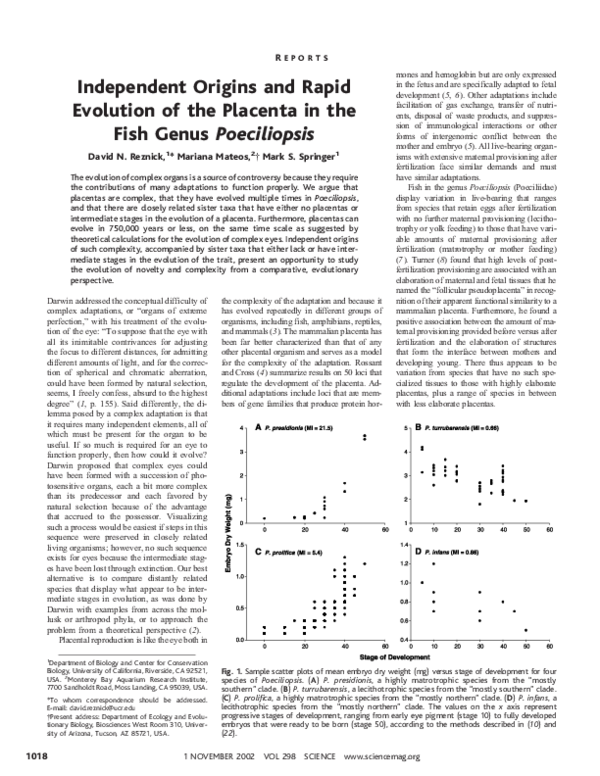 (PDF) Independent Origins and Rapid Evolution of the Placenta in the ...