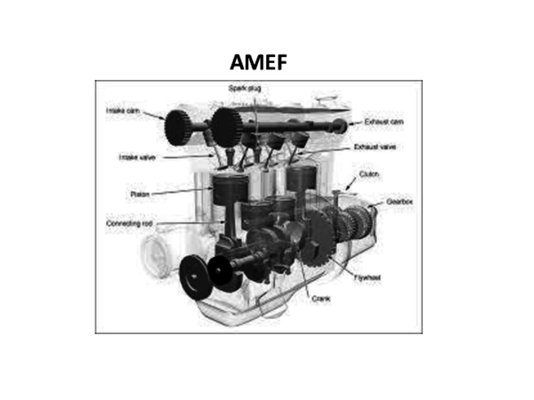 (PPT) Amef motor