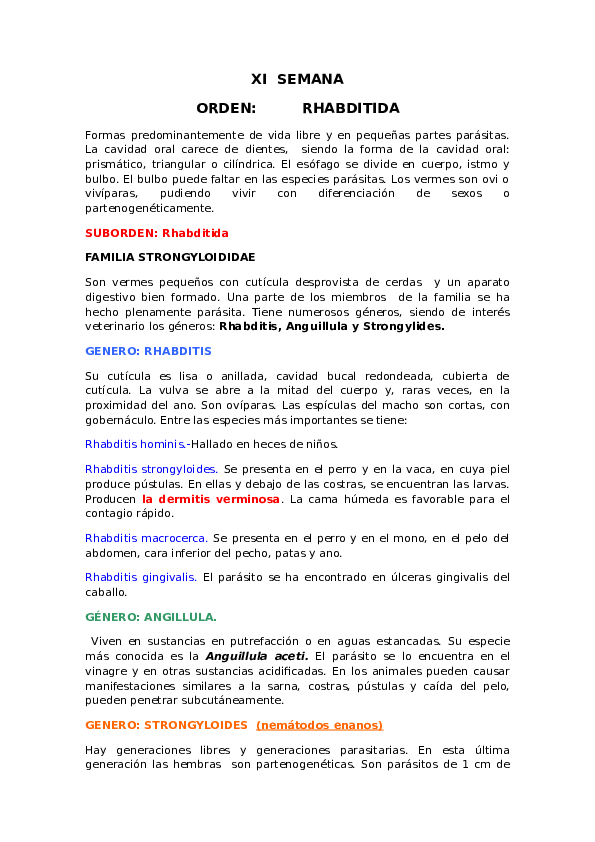 strongyloides westeri ciclo biologico