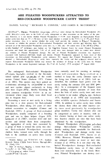 (PDF) ARE PILEATED WOODPECKERS ATTRACTED TO RED-COCKADED WOODPECKER