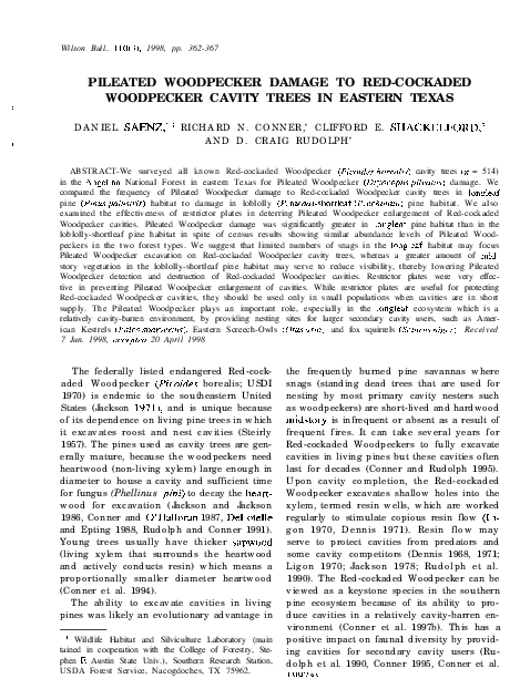 (PDF) PILEATED WOODPECKER DAMAGE TO RED-COCKADED WOODPECKER CAVITY