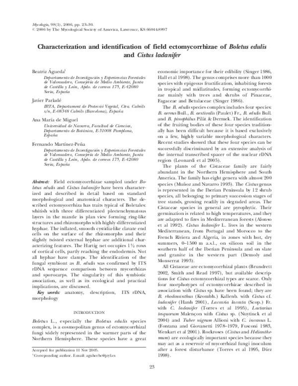 (PDF) Characterization and identification of field ectomycorrhizae of