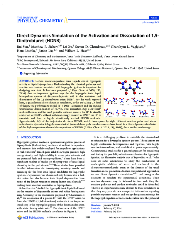 (PDF) Direct Dynamics Simulations