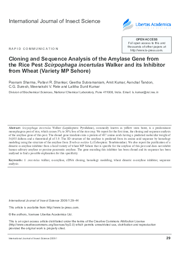 (PDF) cloning and sequence Analysis of the Amylase Gene from the Rice ...