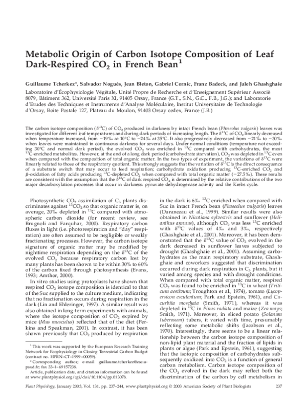 (PDF) Metabolic Origin of Carbon Isotope Composition of Leaf Dark ...