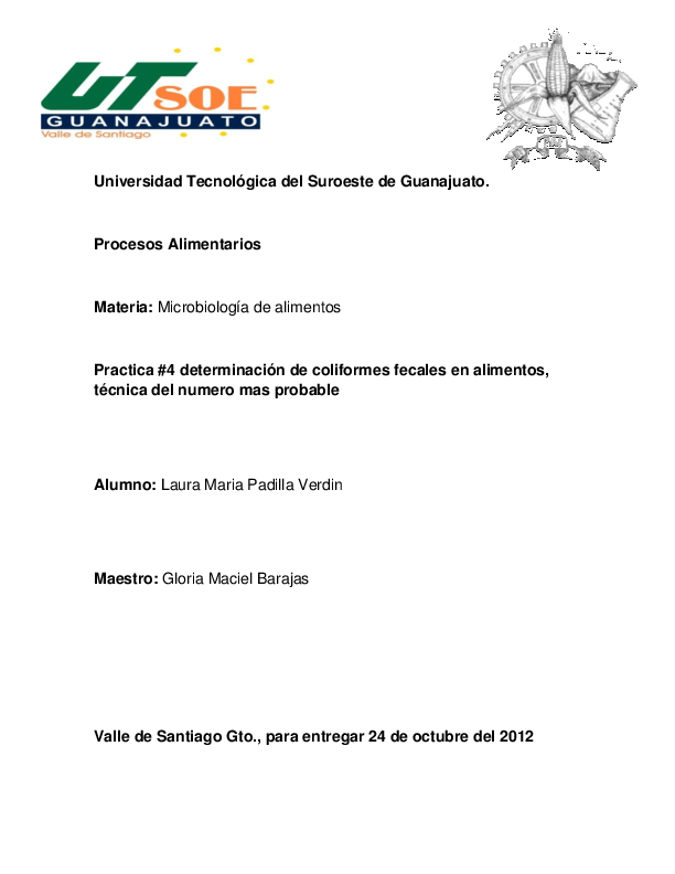 Nmp essay examples image