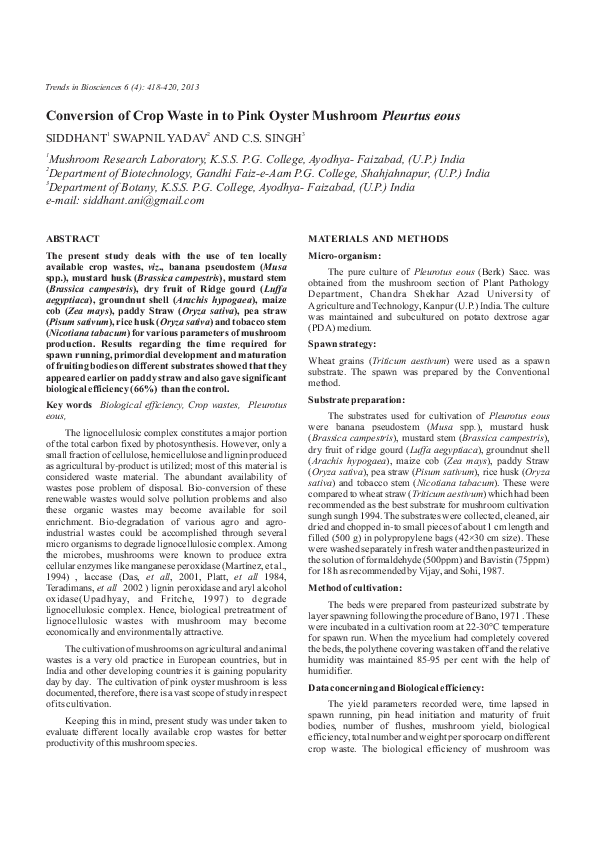 Where do oysters live picture