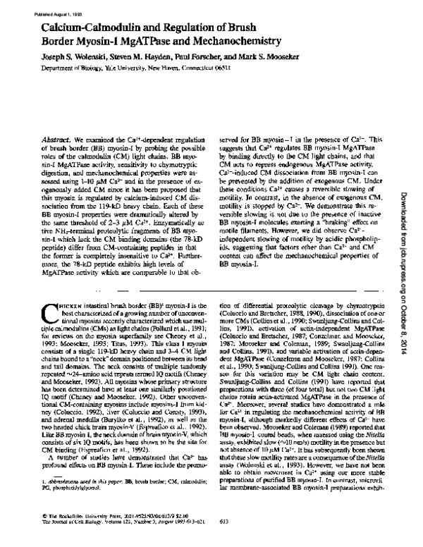 Role of calmodulin in muscle contraction picture