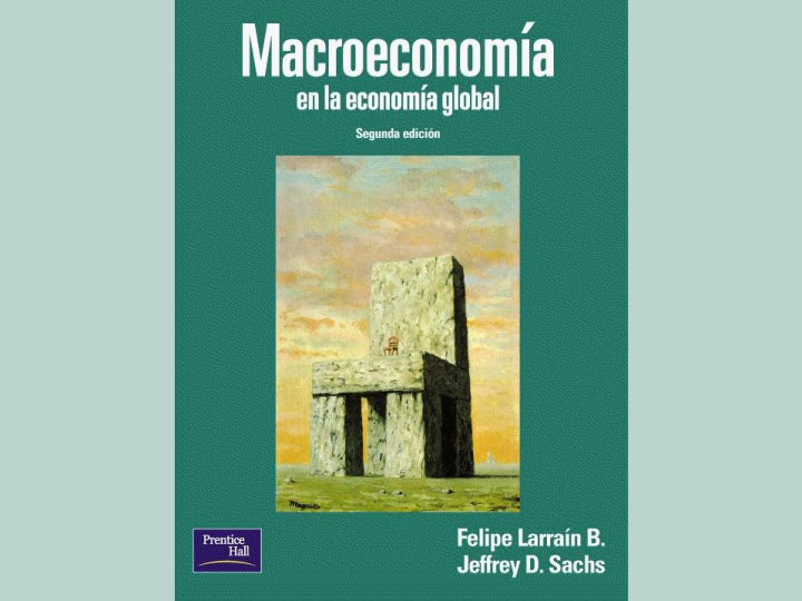 Macroeconomia En La Economia Global Sachs Larrain Pdf