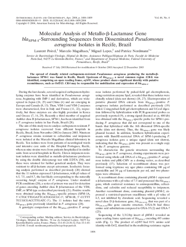(PDF) ) MOLECULAR ANALYSIS OF METALLO-BETA-LACTAMASE GENE BLA(SPM-1 ...