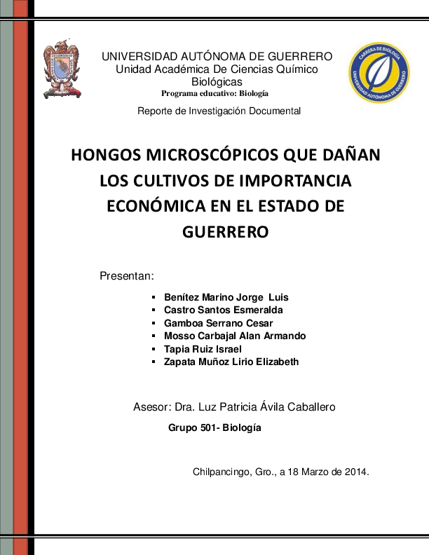 Hongos essay 06 picture