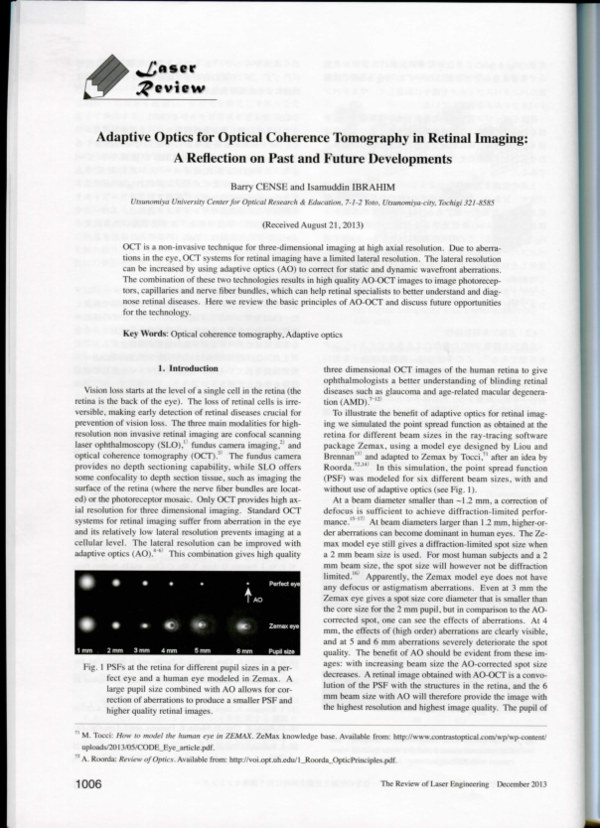 (PDF) Adaptive Optics Optical Coherence Tomography in Retinal Imaging ...